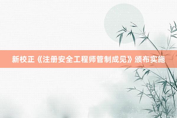 新校正《注册安全工程师管制成见》颁布实施