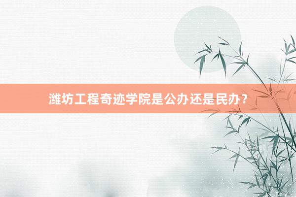 潍坊工程奇迹学院是公办还是民办？